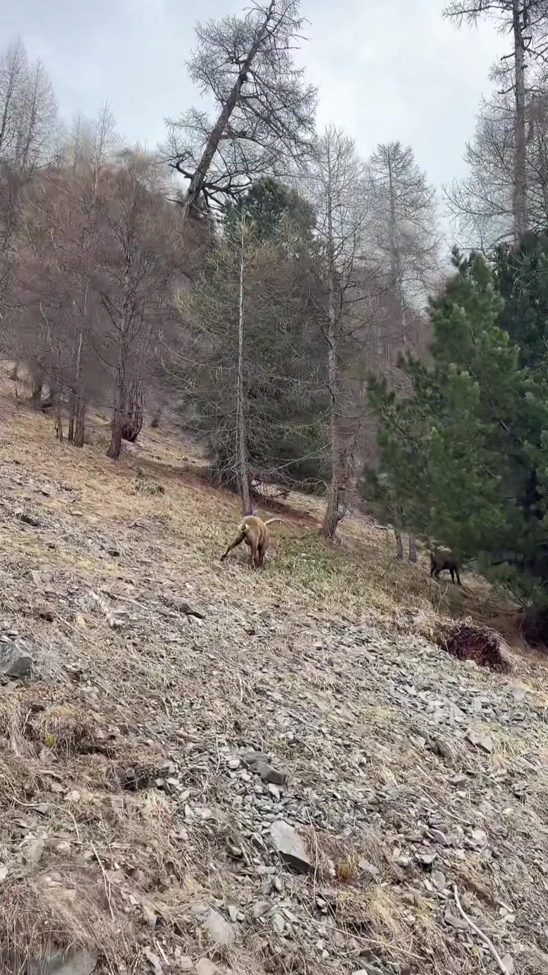 @Birobiro🚵♂️