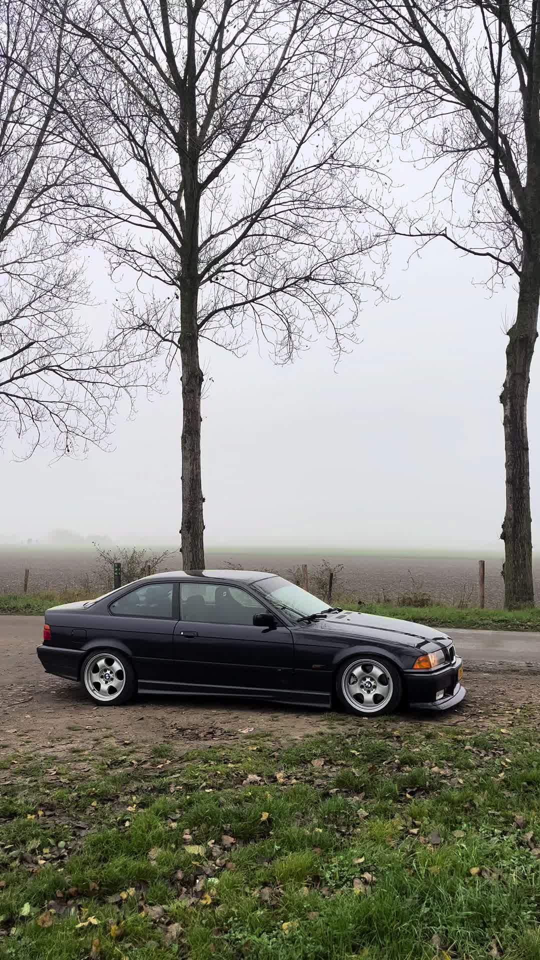 @daanelenbaas