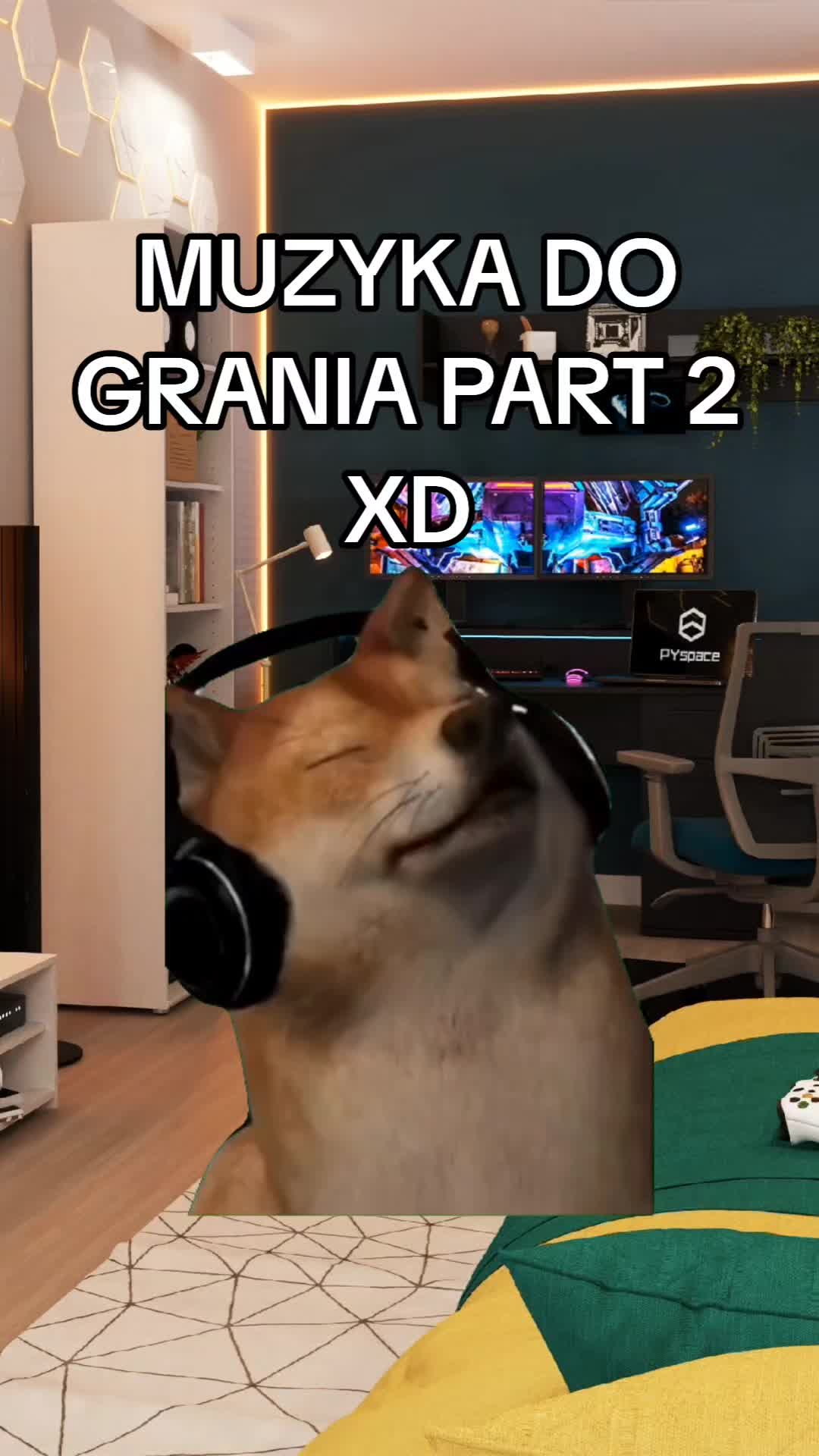 @KotWkapciachh