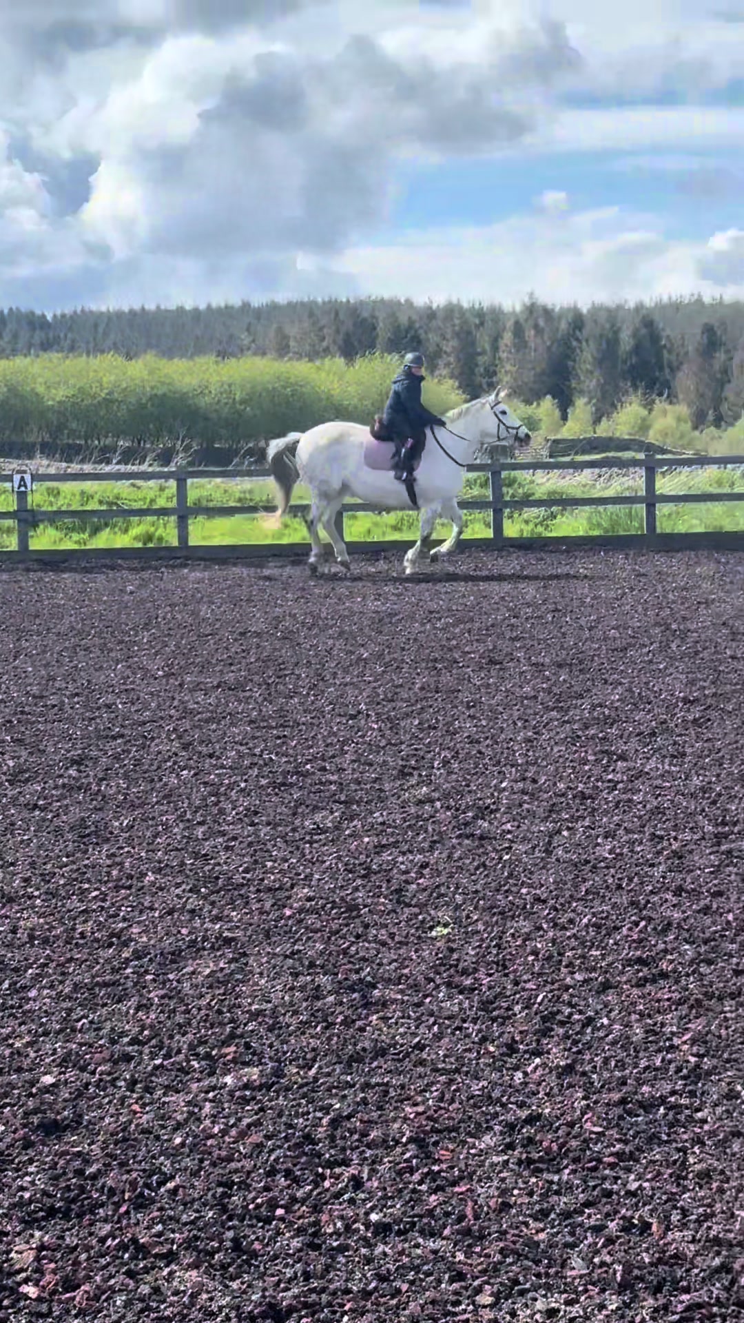 @Ellie 🐴🏎️