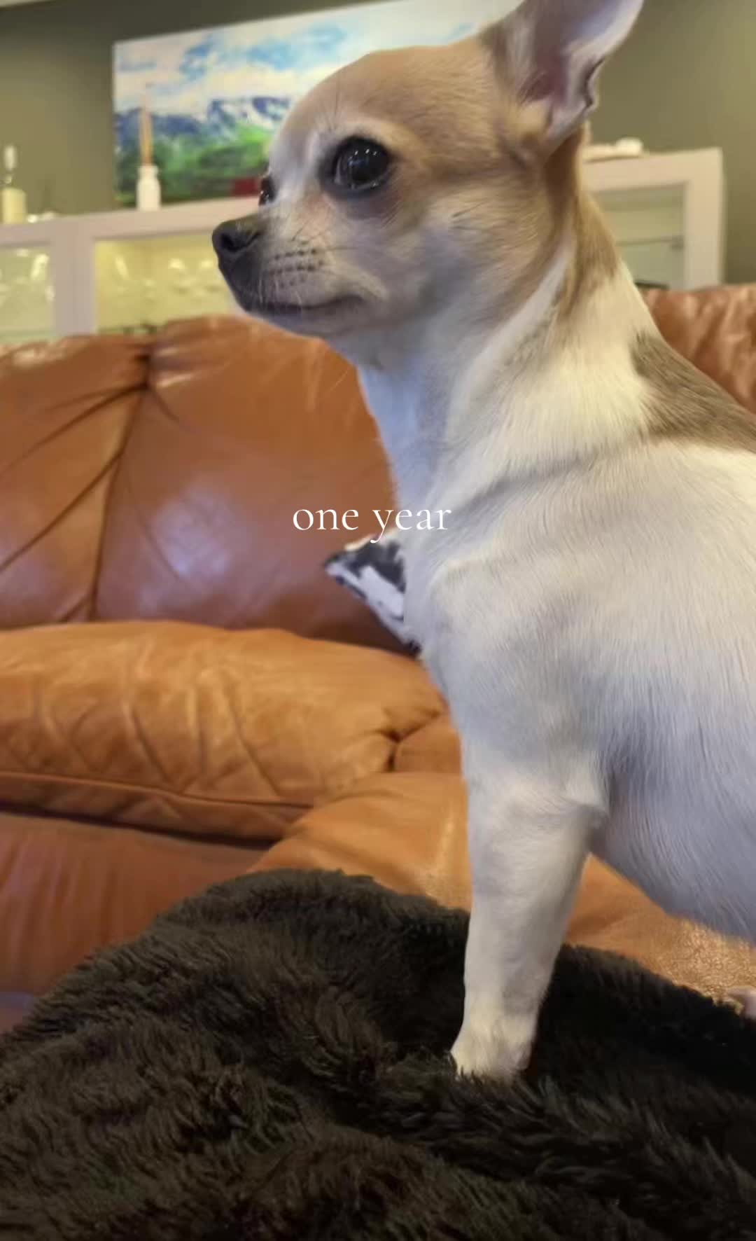 @oli