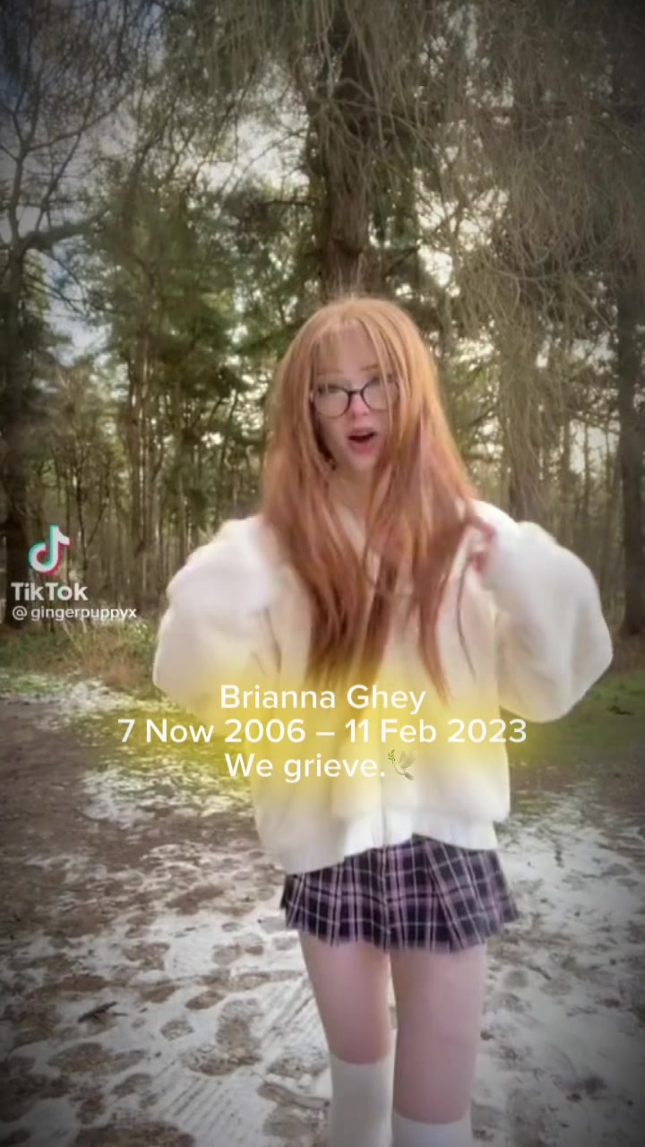@gingerpuppyx