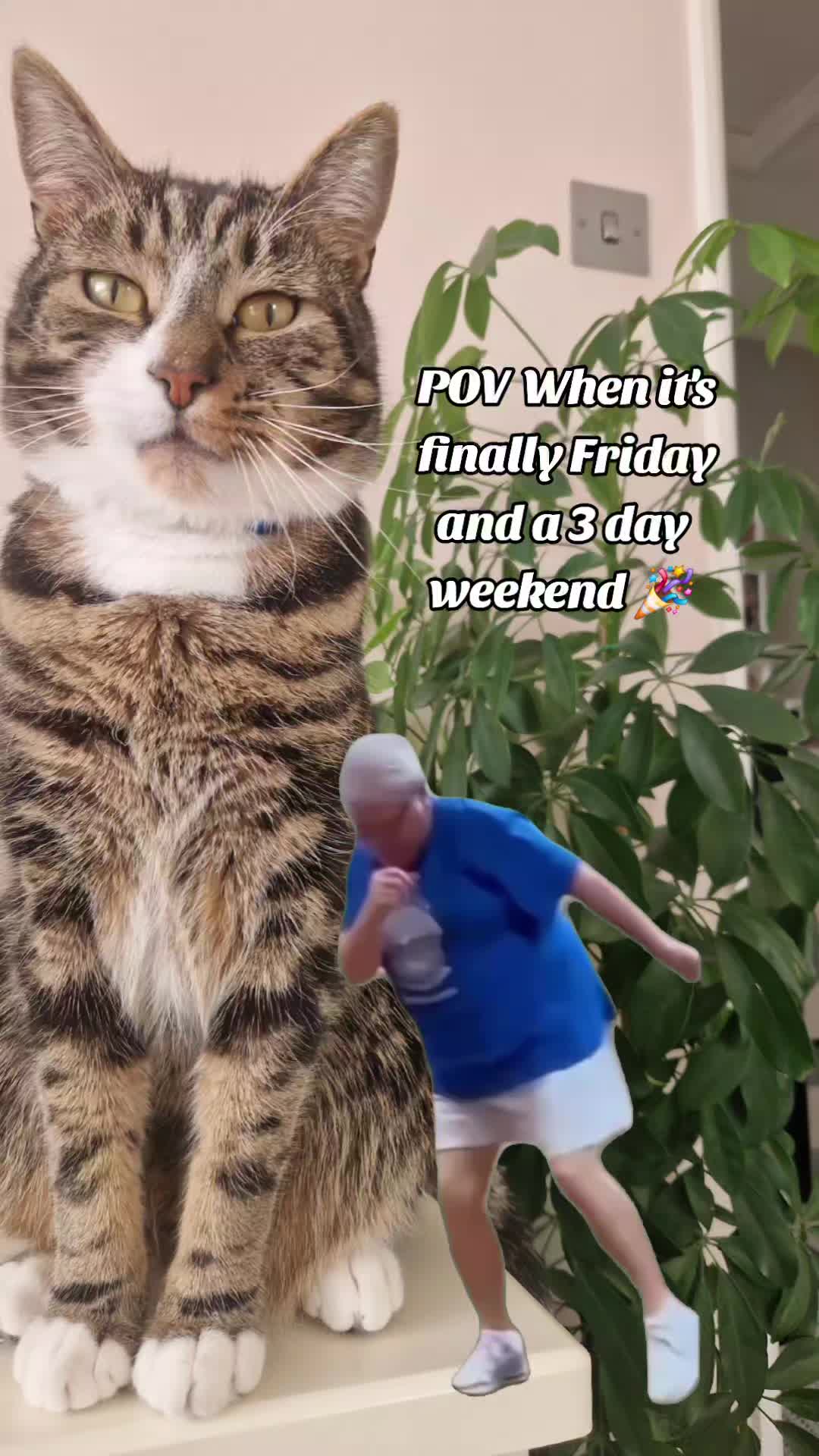 @Banjothecat2024