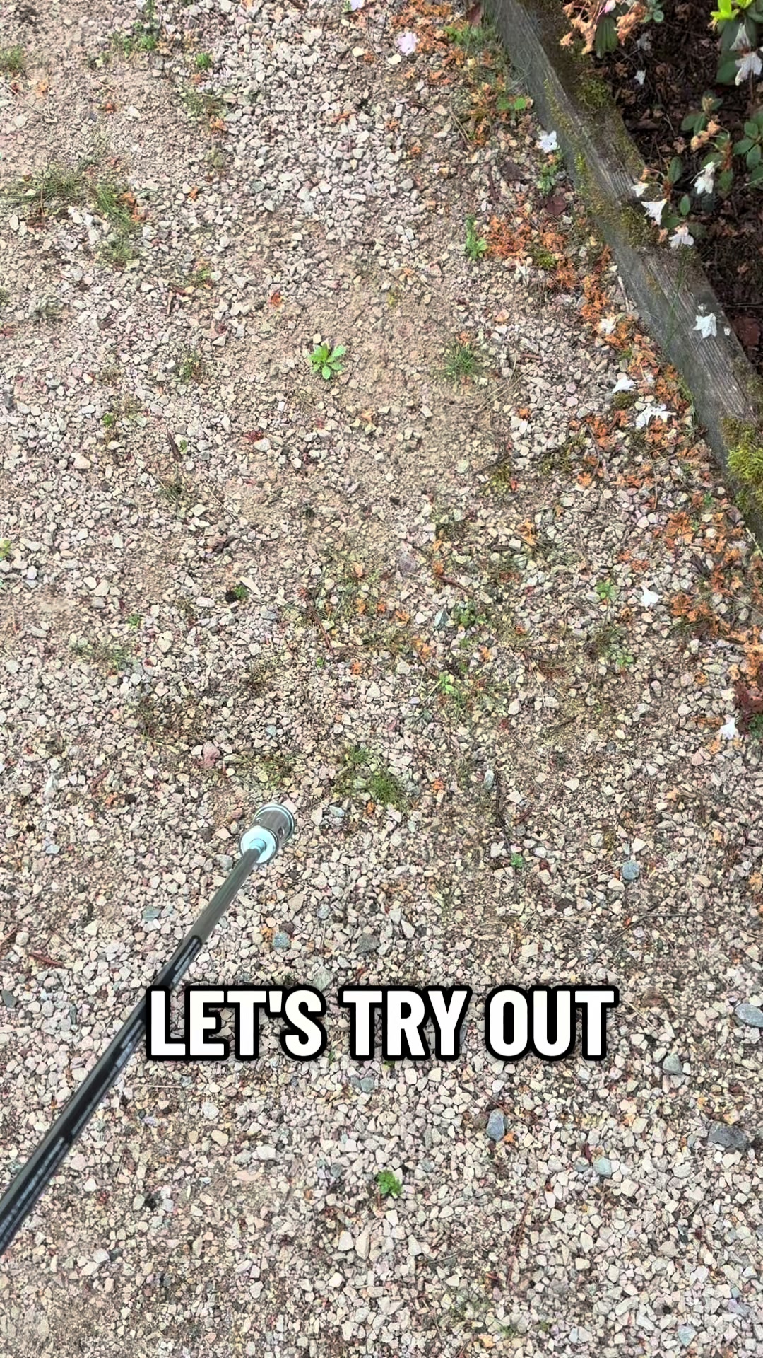 @All The Small Plants