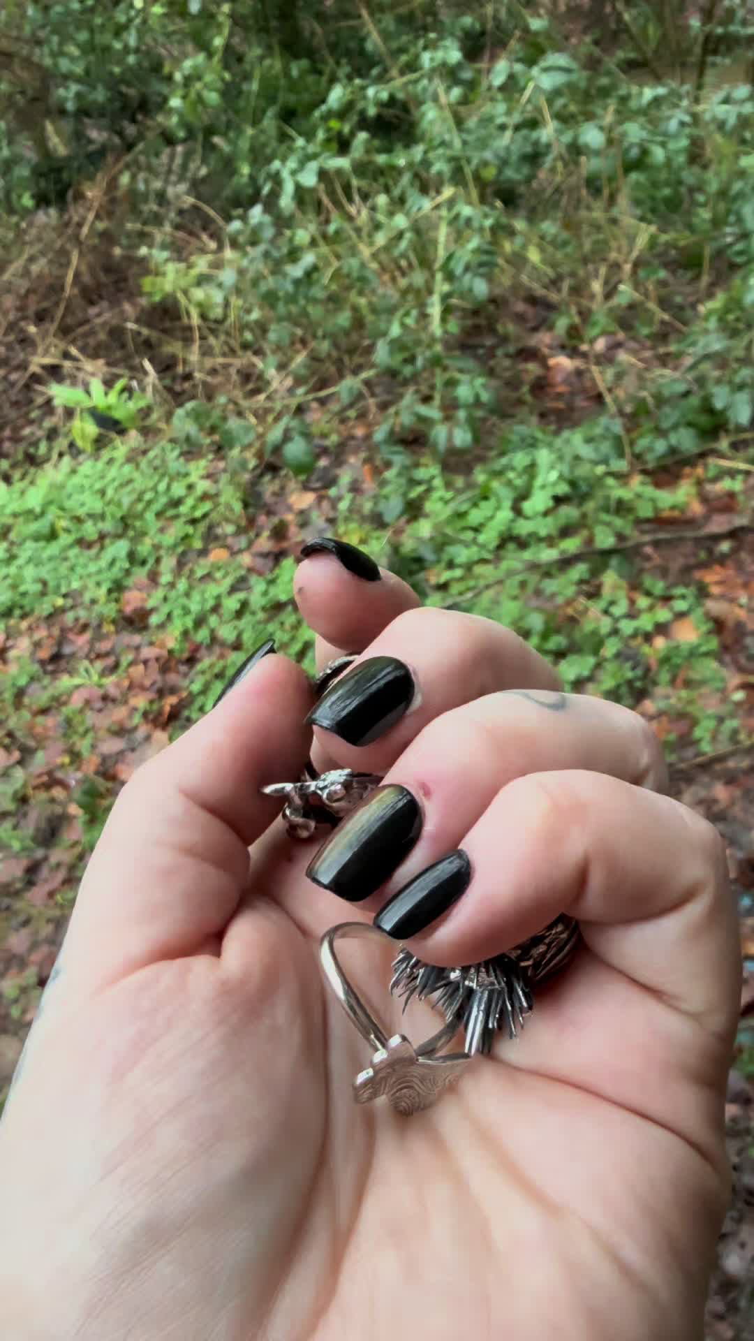 @Vantaurea