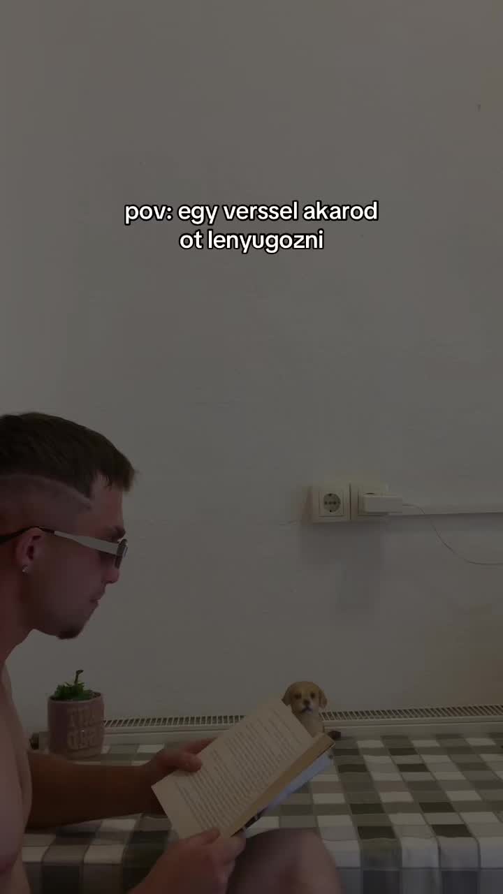 @Balogh |stv&aacute;n
