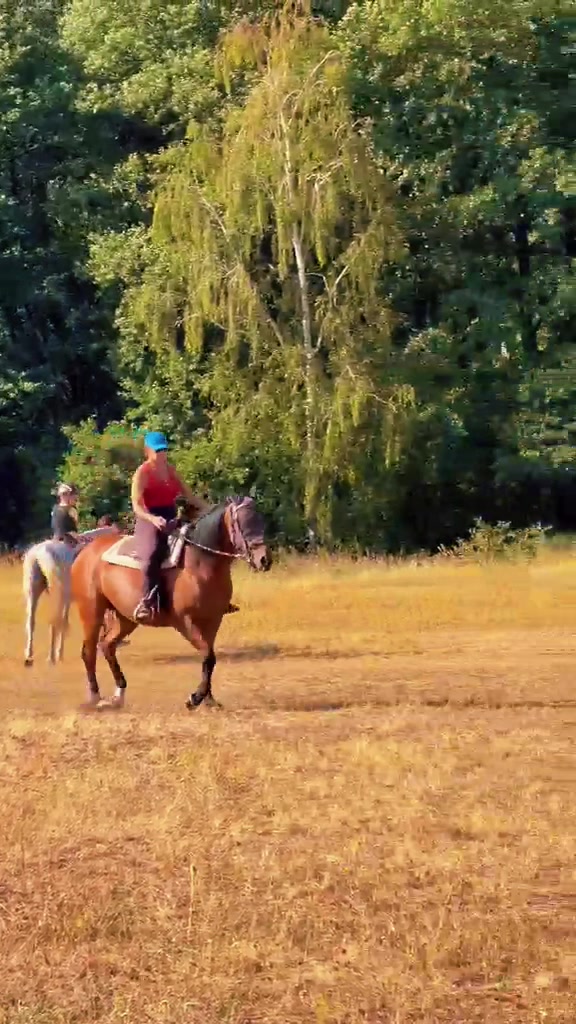 @Cestou Horsemanshipu