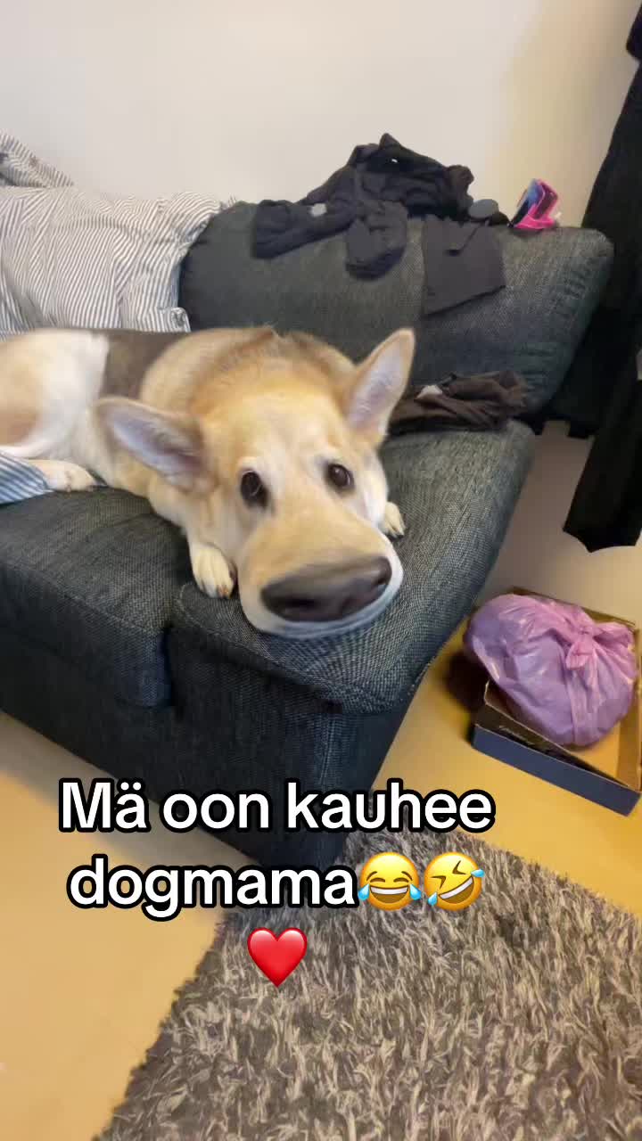 @Mirtsu
