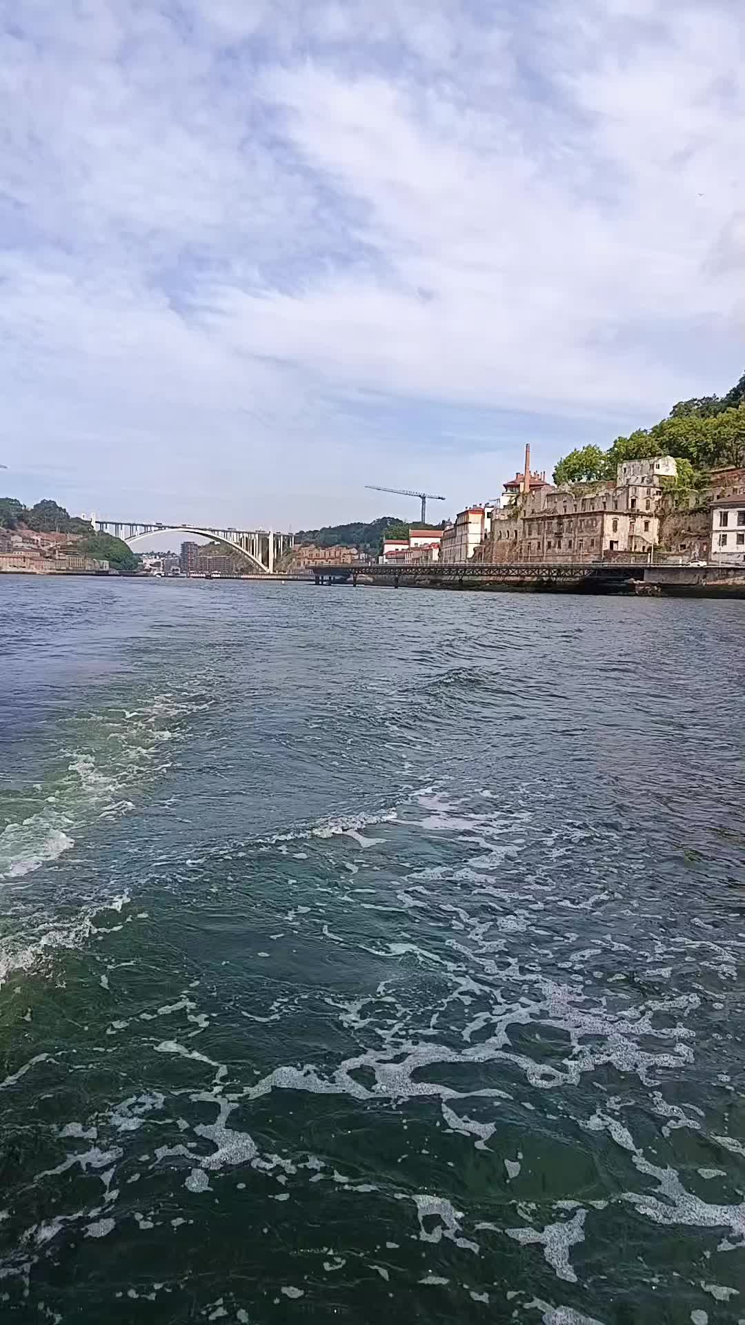 @porto ribeira