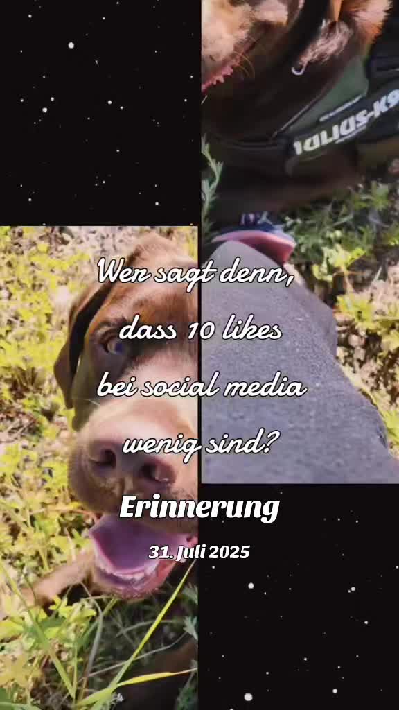@Xandra mit X & Milo