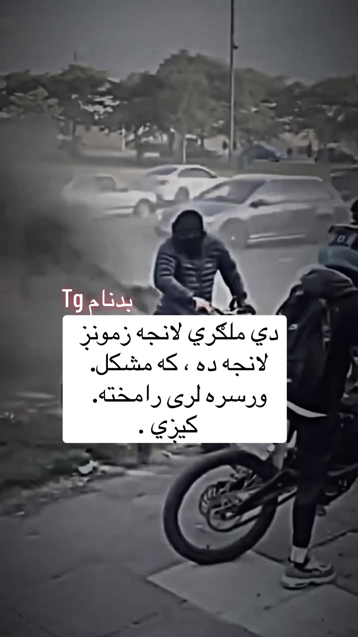 @safi.tg2026