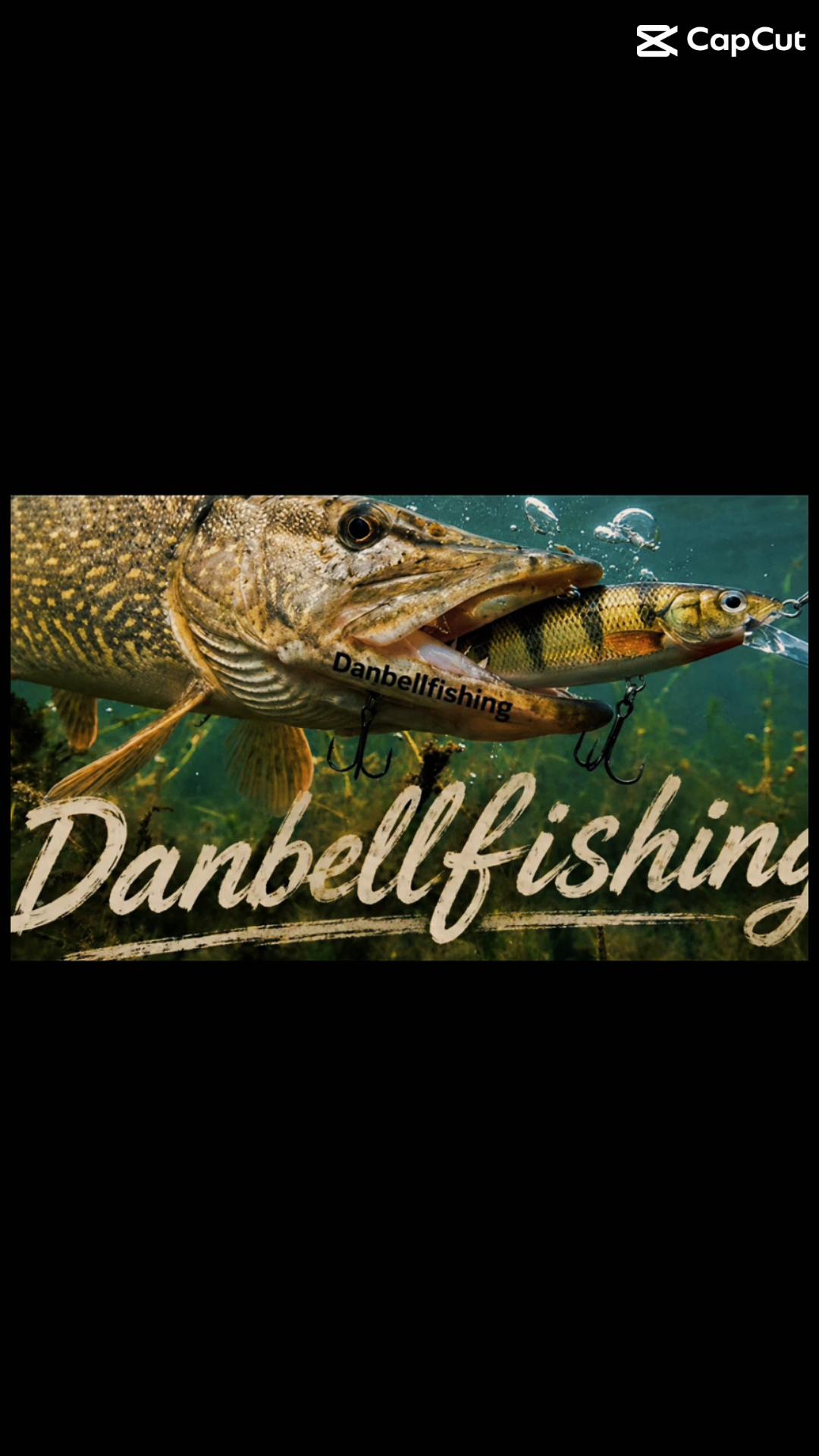 @Danbellfishing