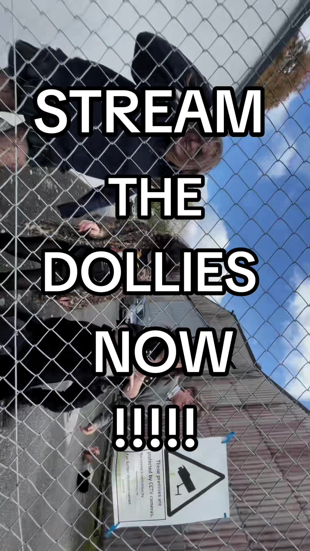 @thedolliesband