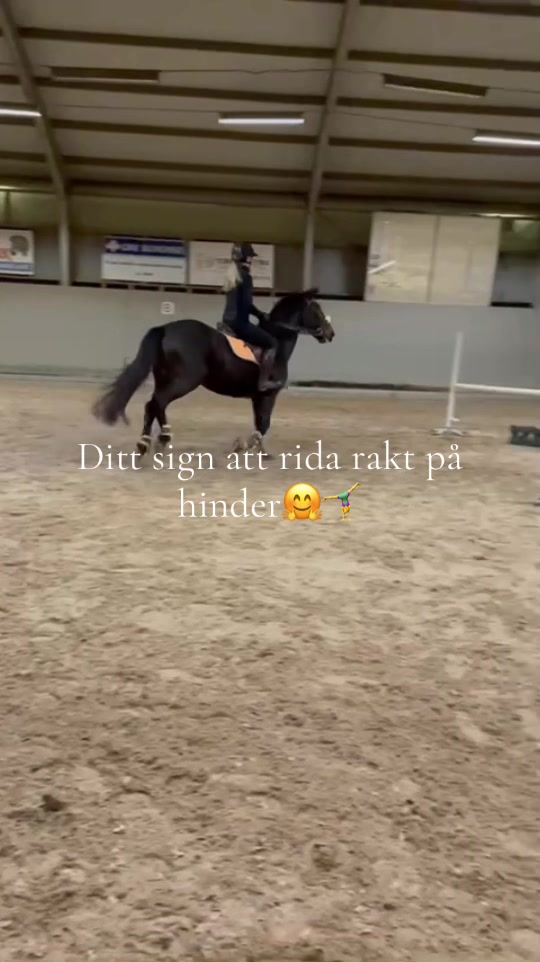 @Emelie och Lady đ