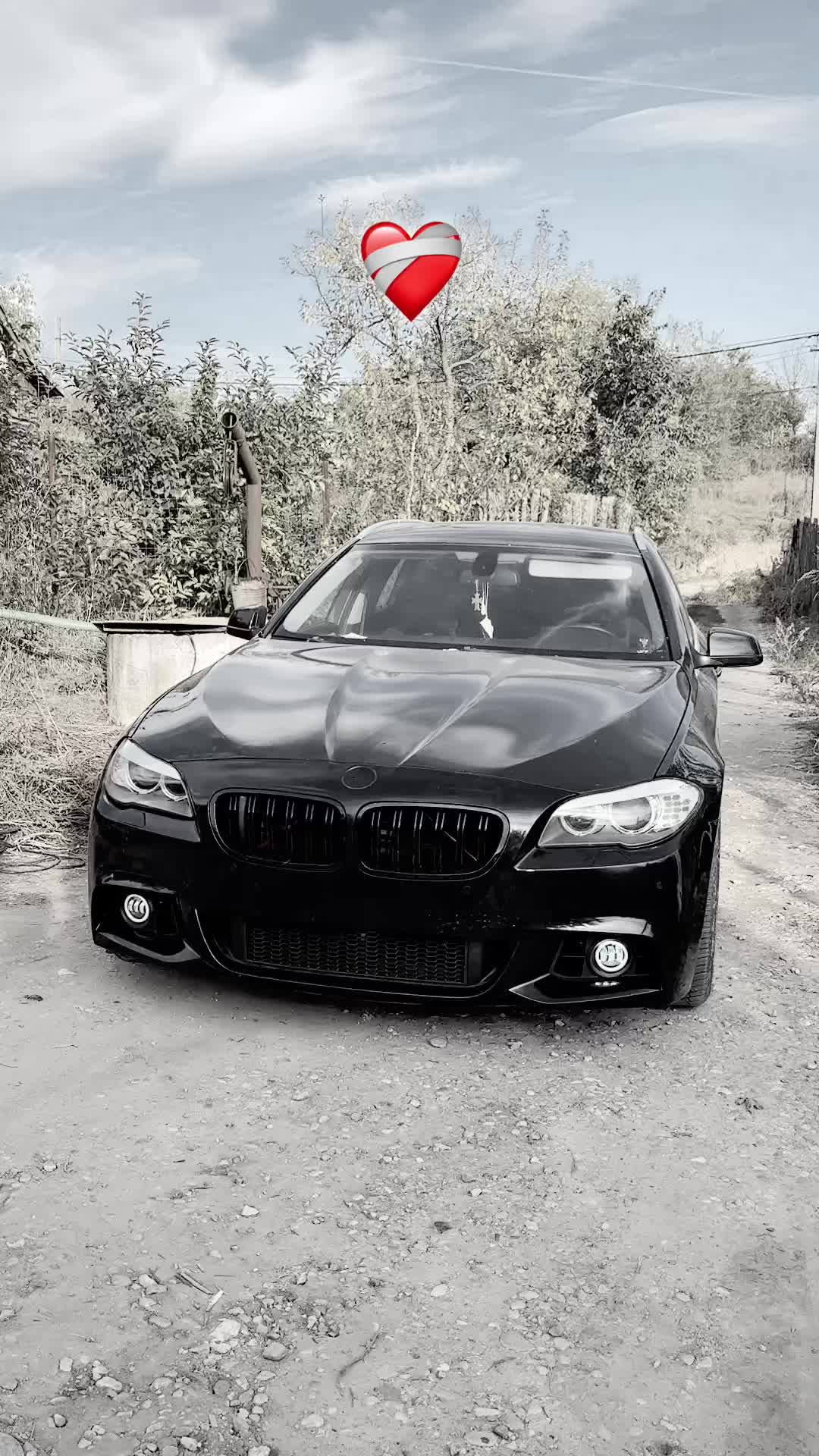 @rechinul520