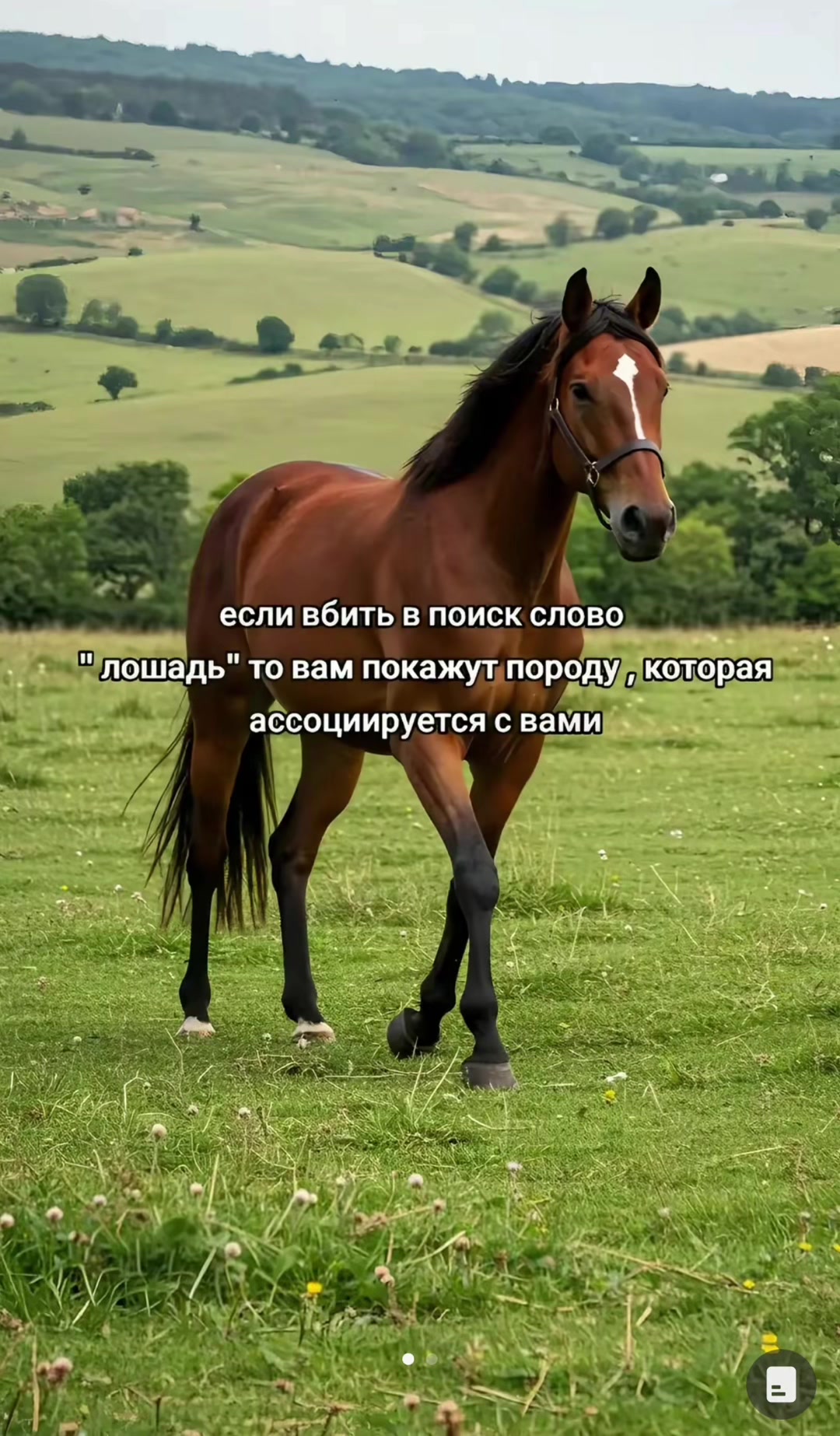 @Ворм Ворм