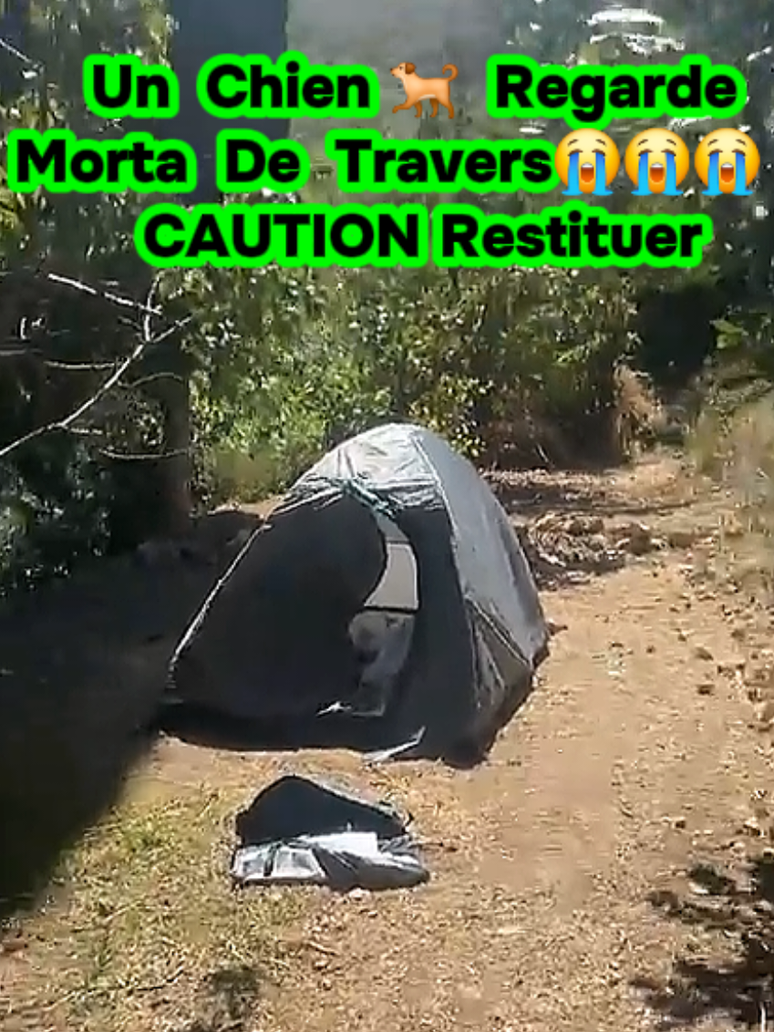 @MortadonOfficielFrozen