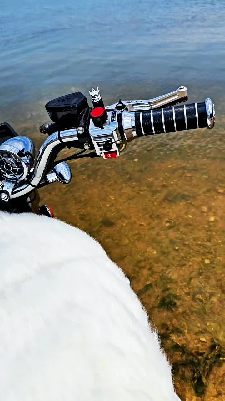 @🦅القائد🦅