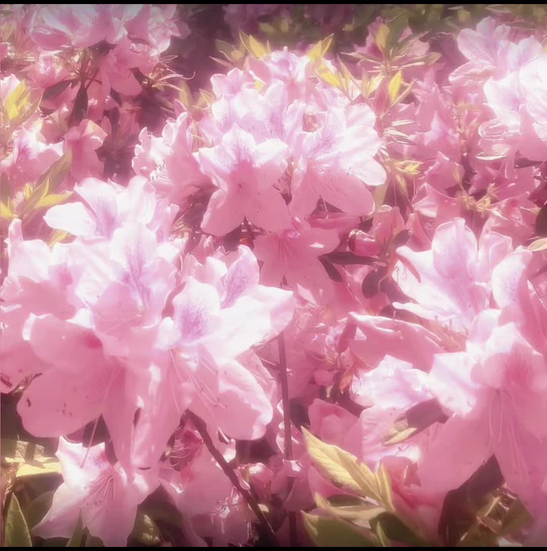 @Sataruuuuuuu&sup1;⁶&sup1;