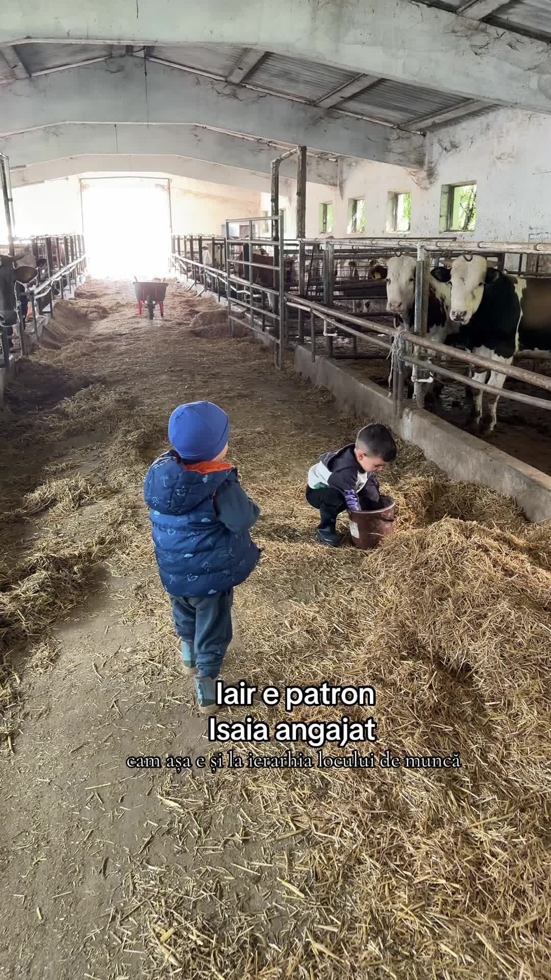 @Vlăduța Lupău