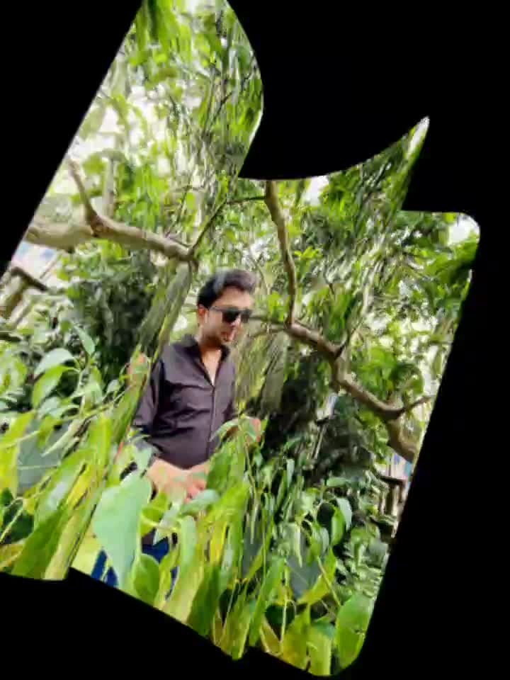 @_shahin_shah_