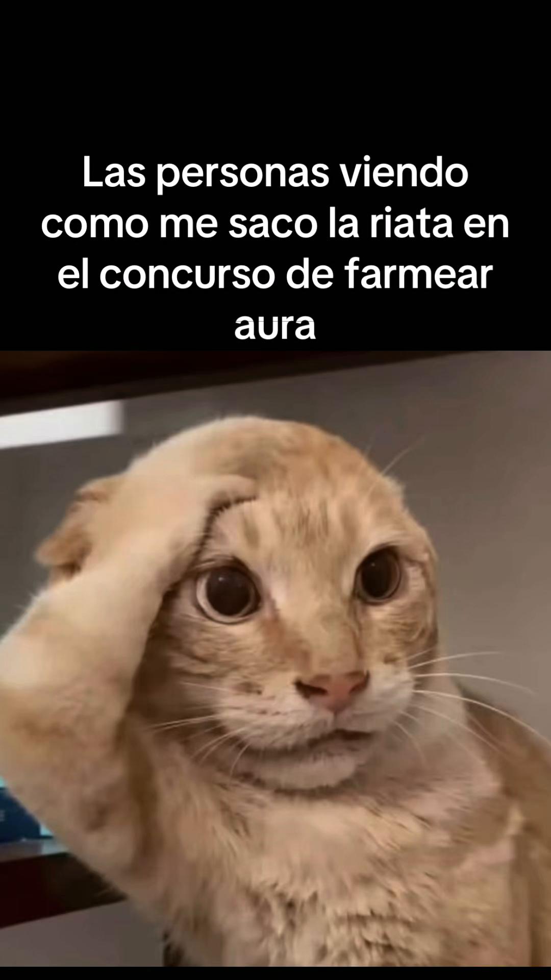 @💙José._JR♥️🕷️