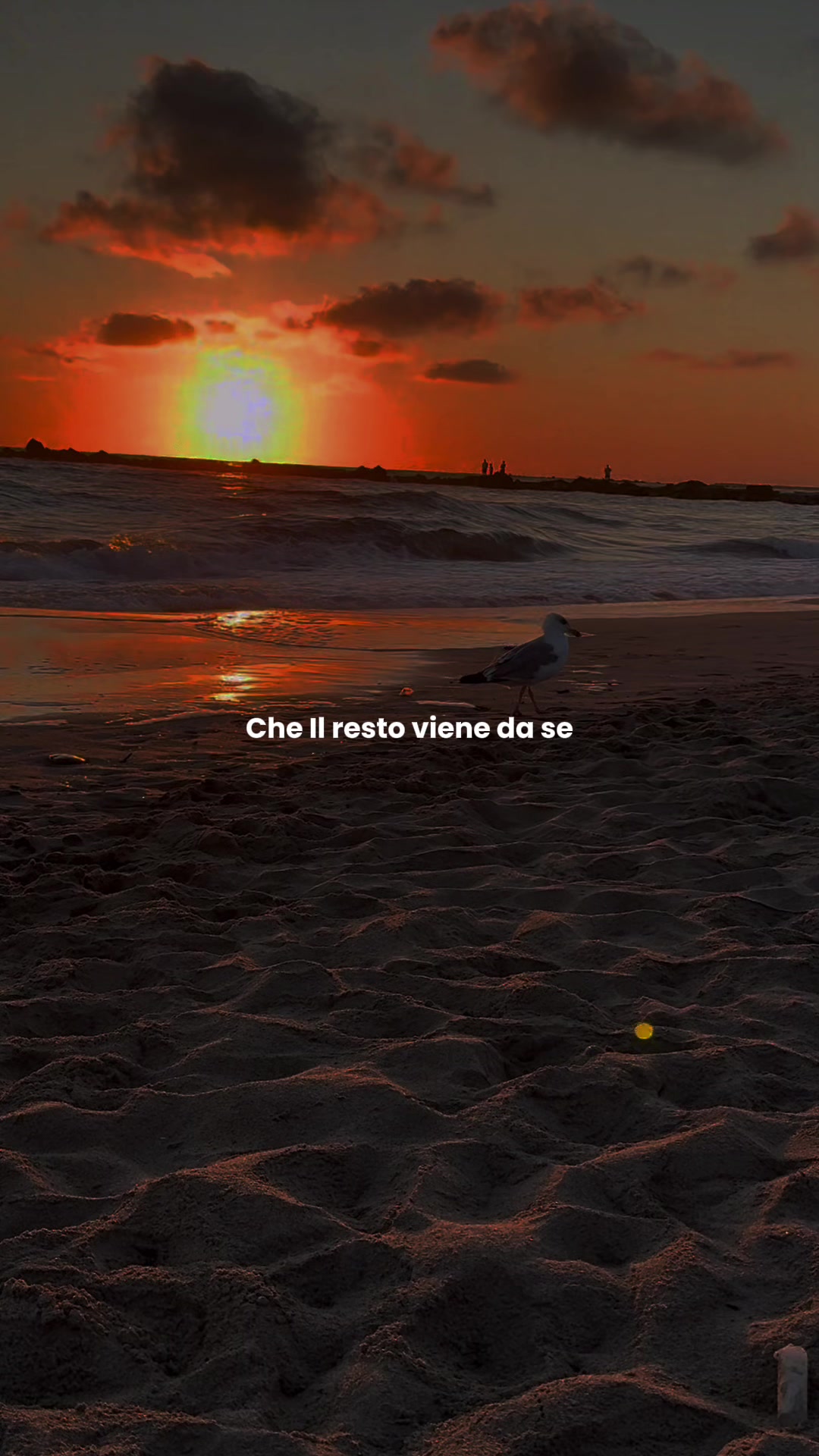 @🎵MUSICVIDEO🎵