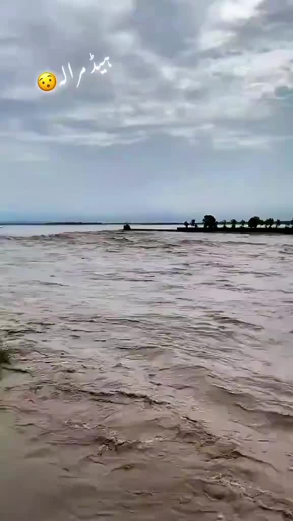 @Shams Mahi