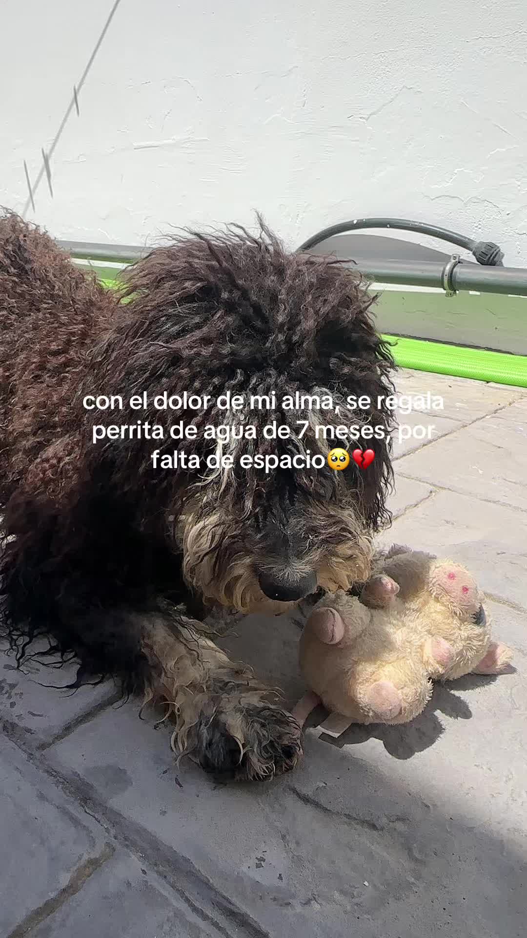 @Rebeca Salado