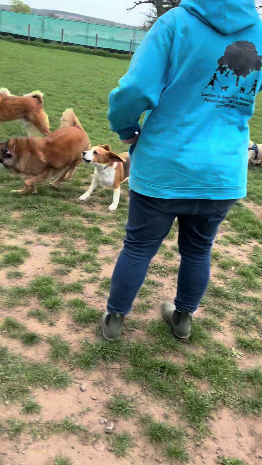 @Lauren & Sam&rsquo;s Dog Walking