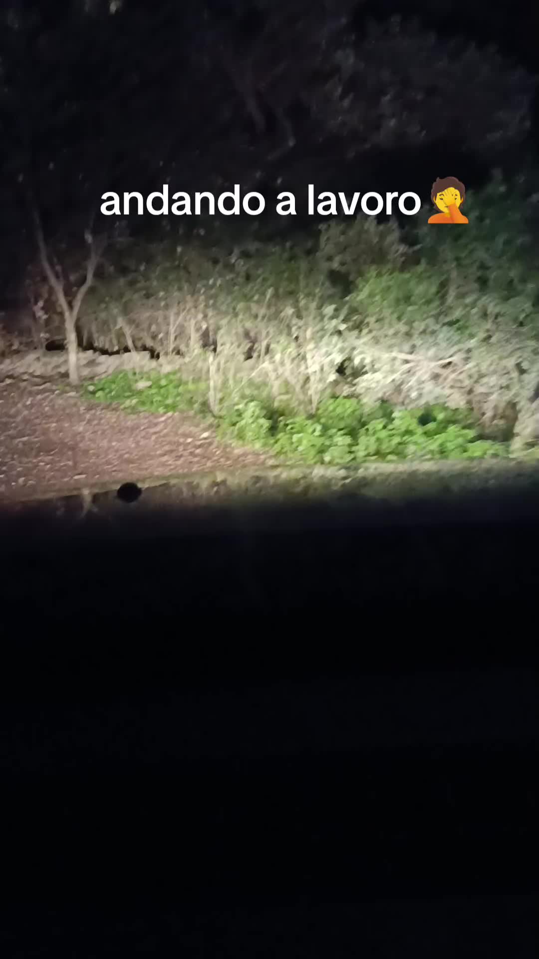 @Manuela