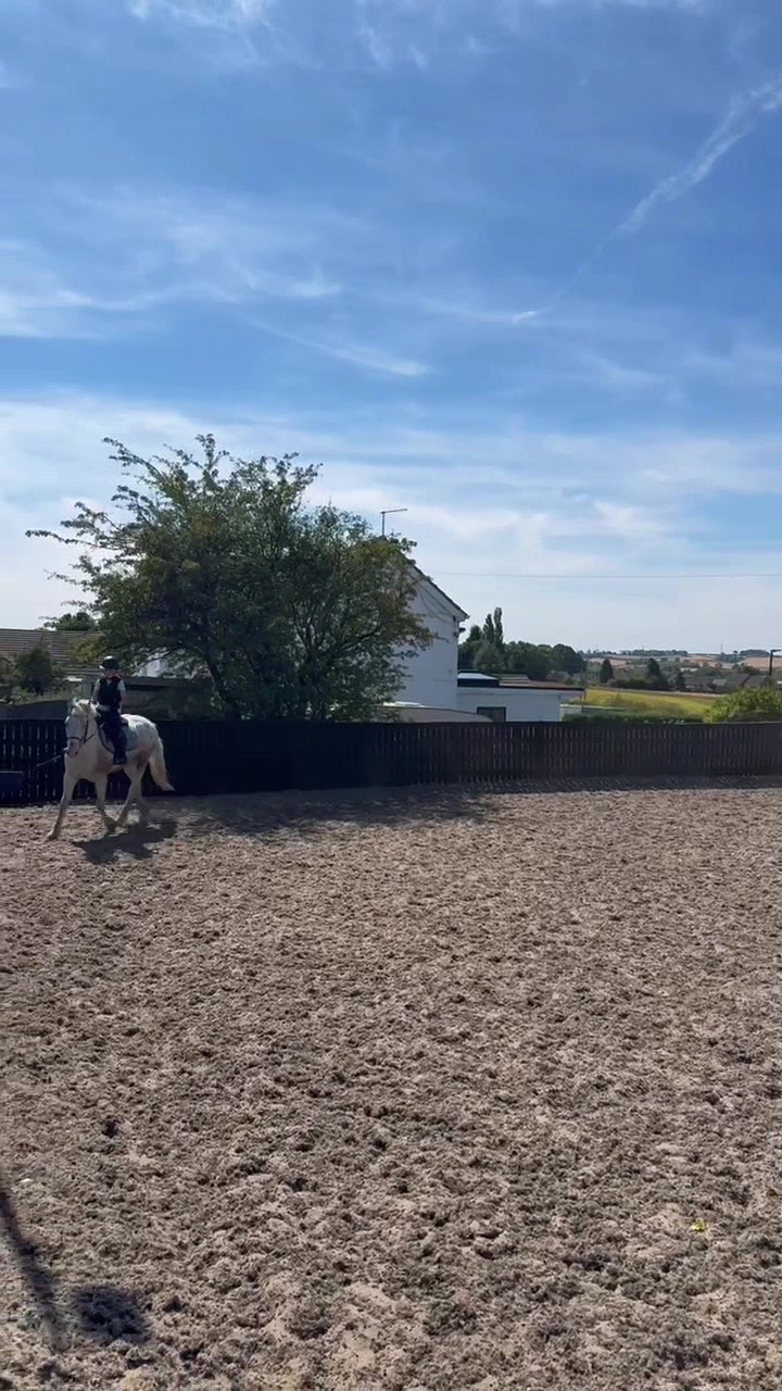 @LottiesHorseAdventures🦄🐴