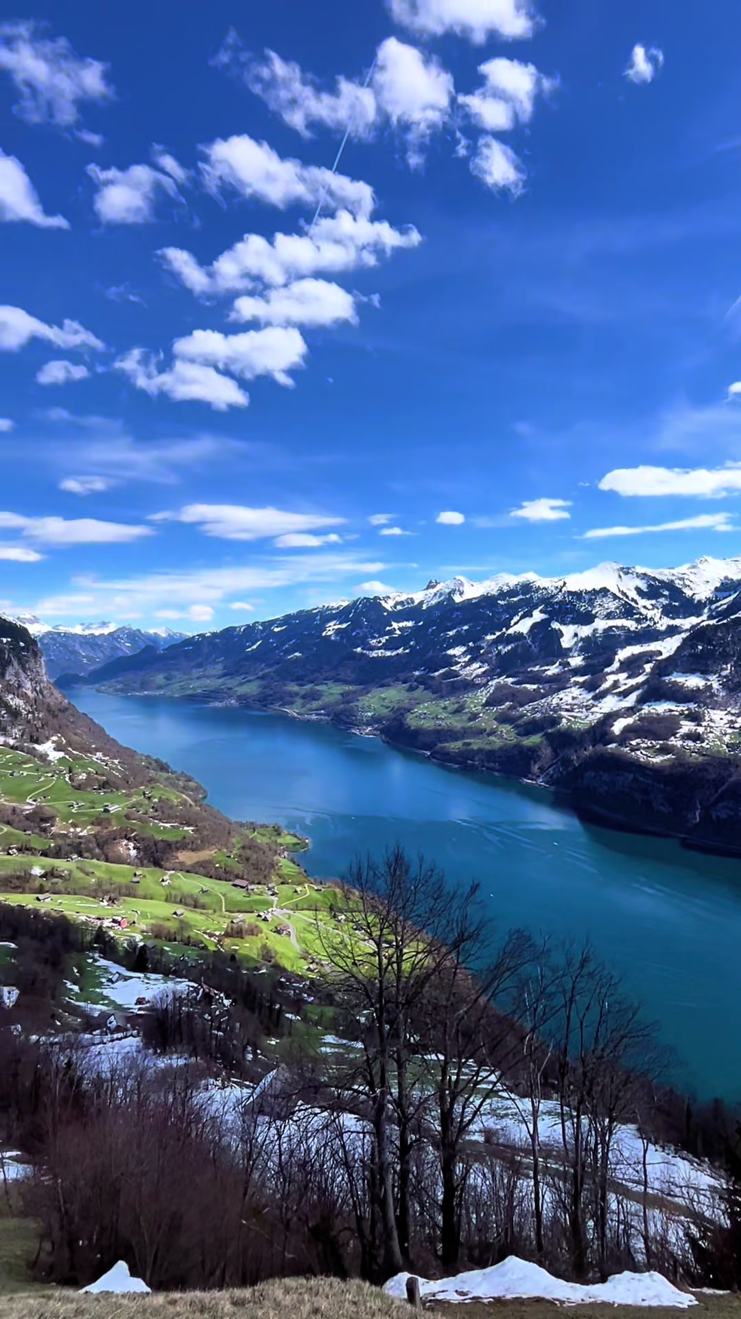 @Ivi Swiss 🇨🇭Czech 🇨🇿