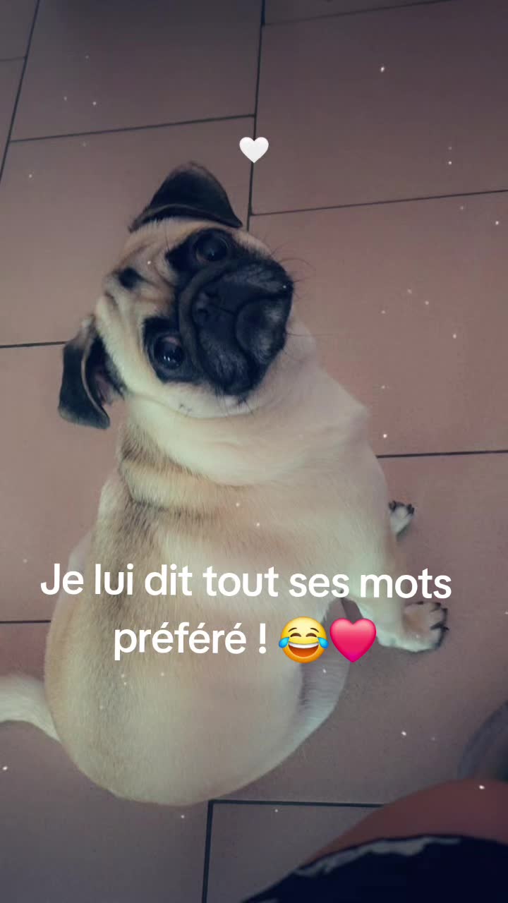 @Princesse-Iris ❤️