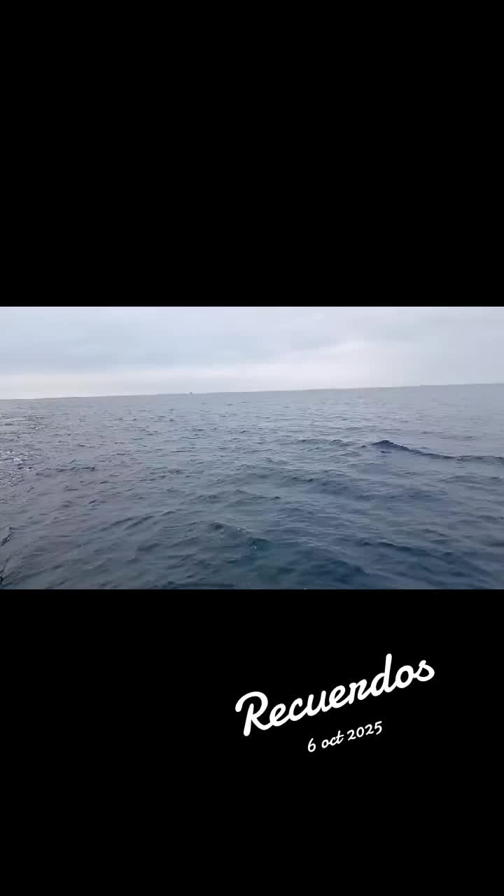 @iñigo