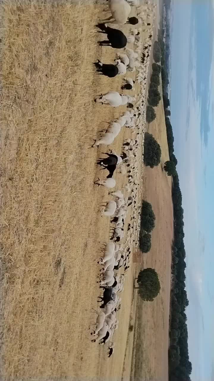 @Iv&aacute;n.