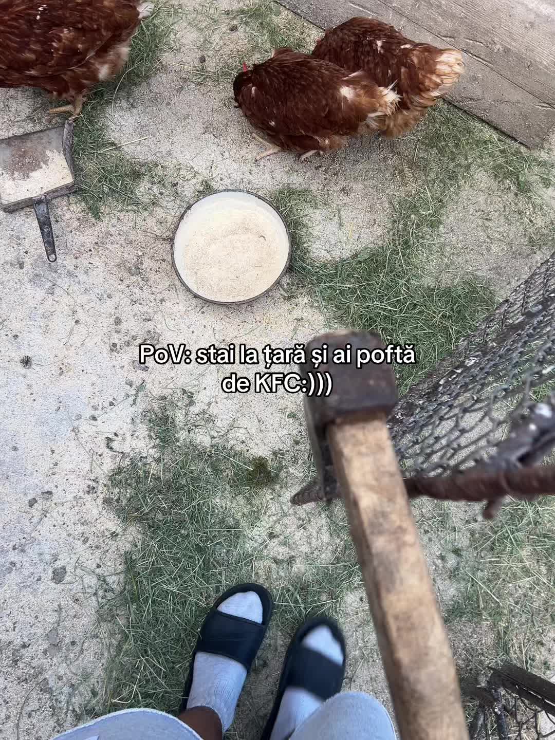 @mirciulicaaa7