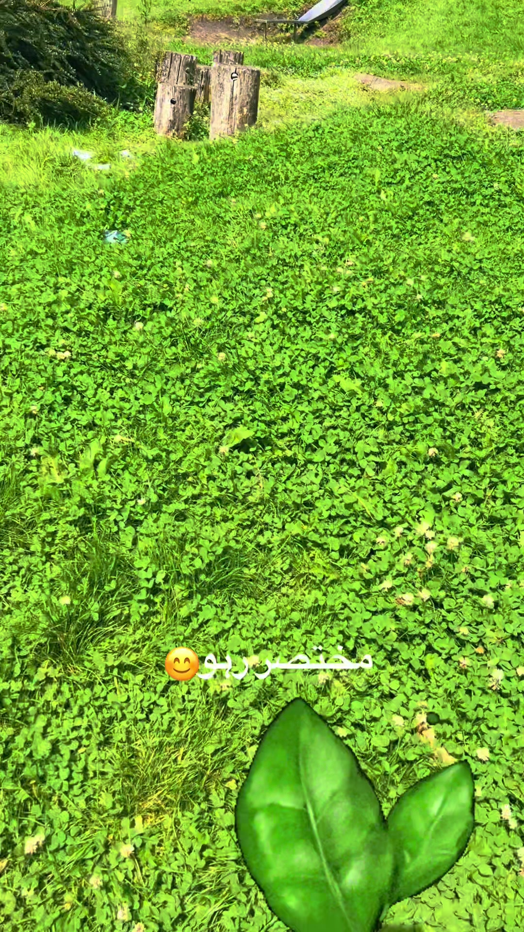 @꧁⪻❣️𝗞Ꮒᴧ𐌽ɨ❣️⪼꧂