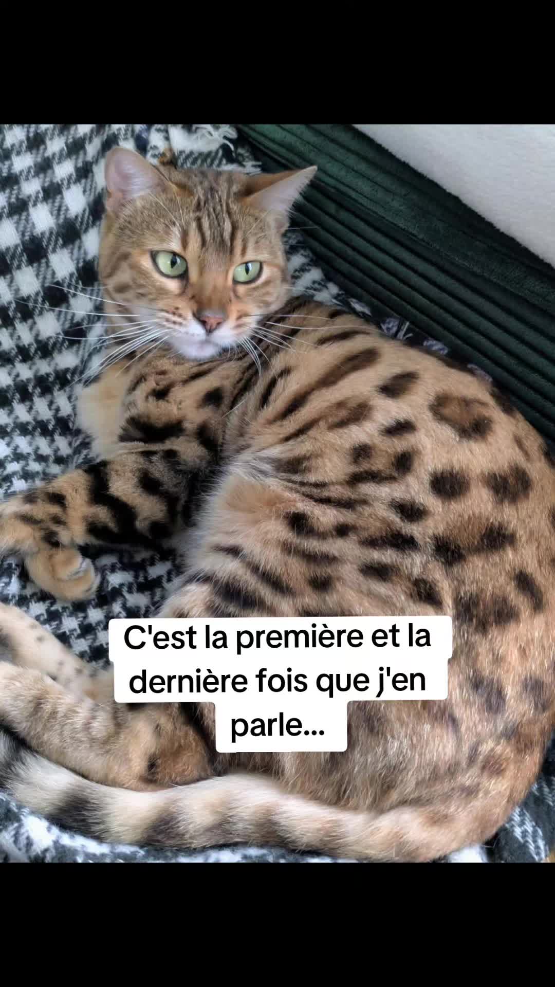 @Galactic Bengal