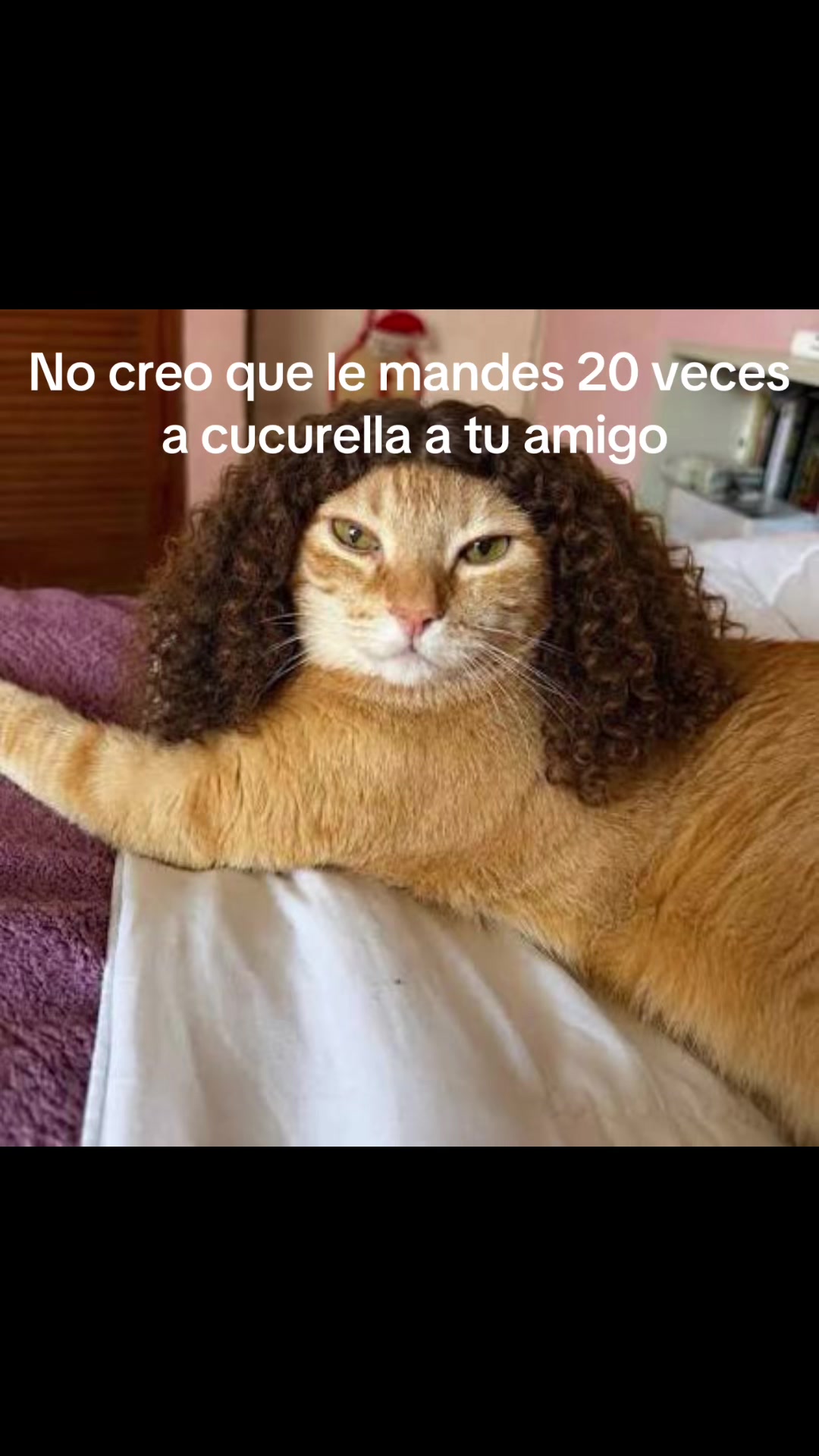 @Els sepions
