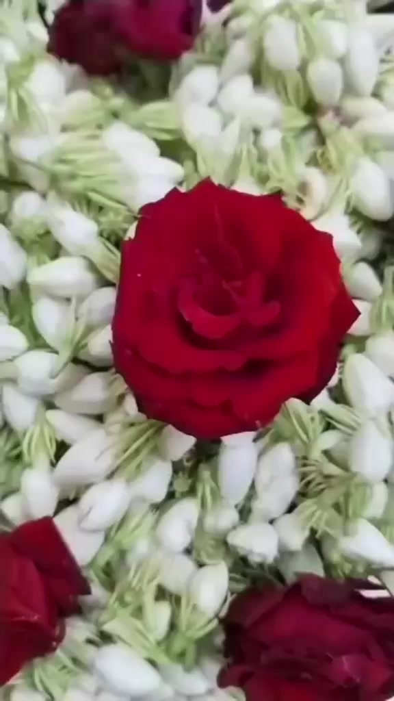 @urfavgurl