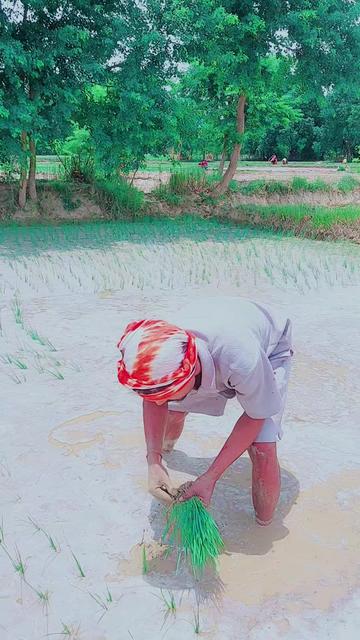 @👑 Kushwaha ji 🔥