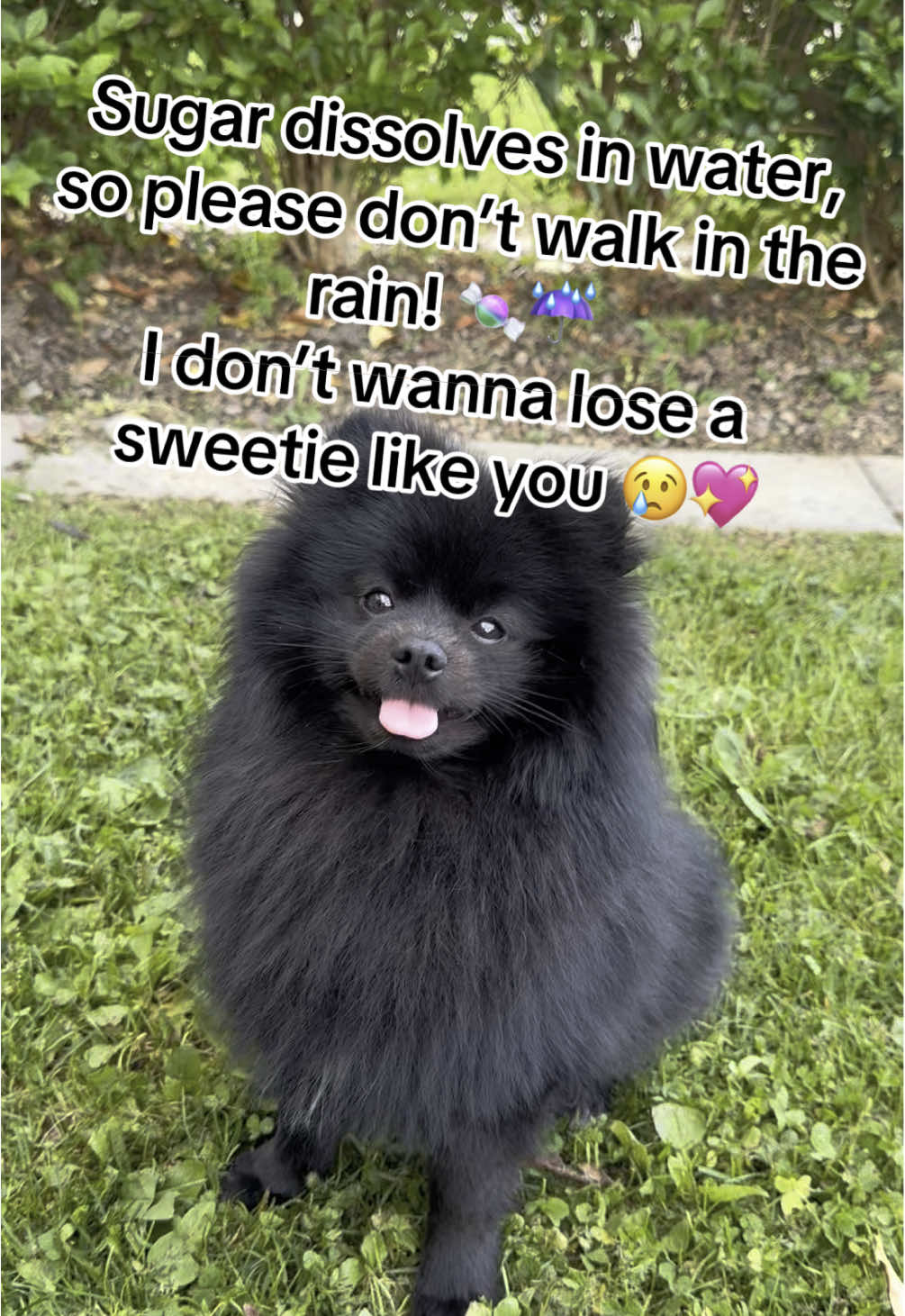 @Lylo