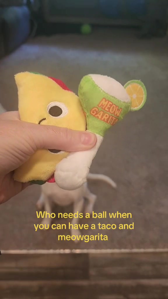 @Sproutie 🐶