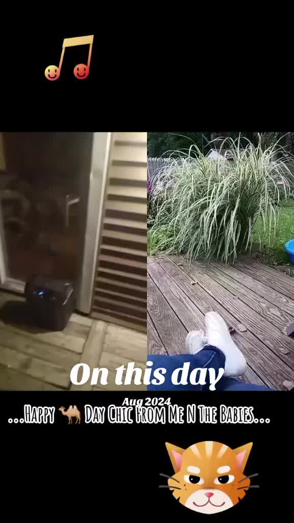 @Booh Hovey crazycatlady3