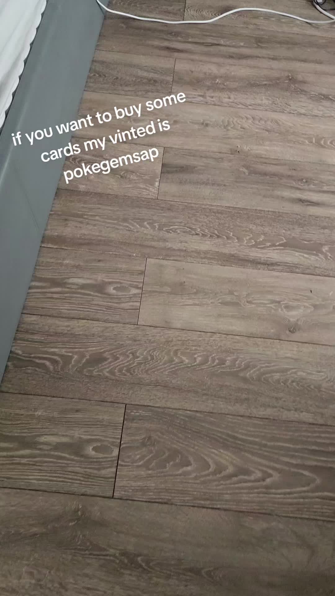 @Vinny_the_CAT