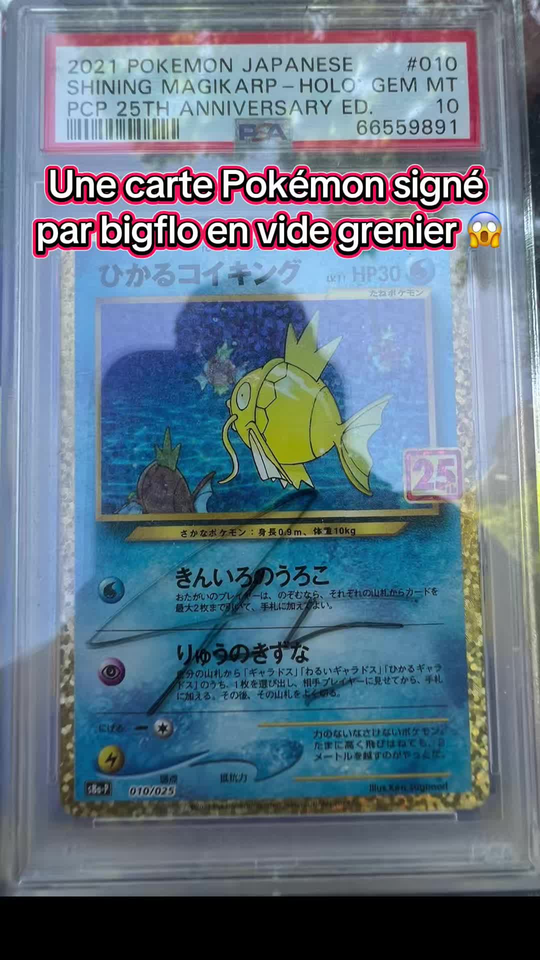 @L&rsquo;Azandica
