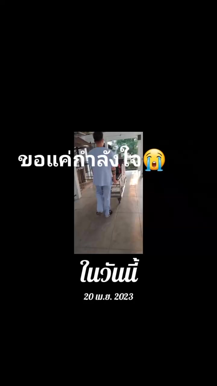 @Nu Lek Tiger