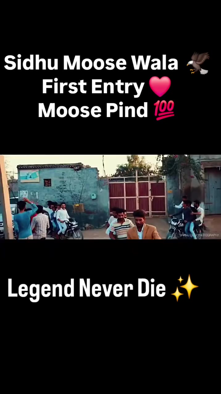 @Shani5911