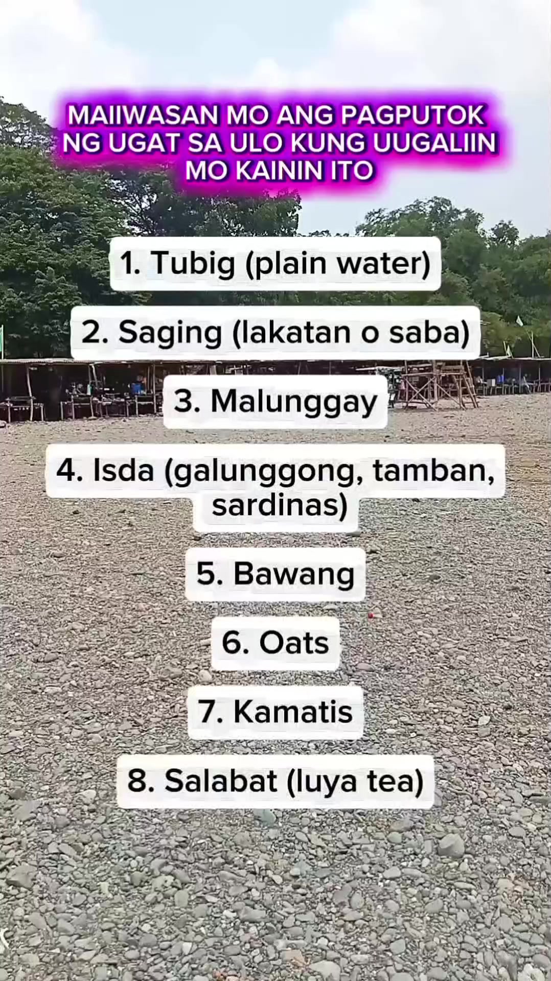 @🐝Tala Hives🐝